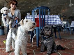 Los restaurantes de la ciudad podrán recibir a los animales en sus terrazas. AP / R. Drew