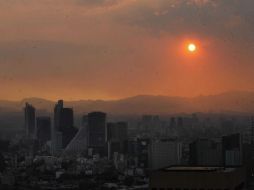 Sólo este fin de semana, reportaron cuatro feminicidios en municipios donde la Alerta de Género está implementada. SUN / ARCHIVO