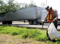 Entre los espacios a rehabilitar destacan los camellones de Avenida del Federalismo, Américas y la Calzada, entre otros. EL INFORMADOR / ARCHIVO