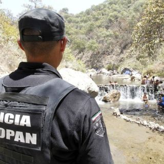 Bosques de Jalisco, vigilados por mil 200 brigadistas