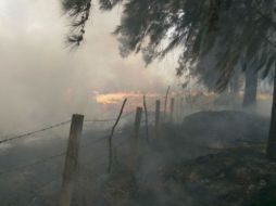 Personal de Bomberos de Tonalá acude al lugar para evitar la propagación del fuego. TWITTER / @BomberosTonala