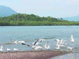 Del restaurante nos dirigimos al Club Santiago y pasando el fraccionamiento se encontraba un sendero de tierra. EL INFORMADOR / V. García
