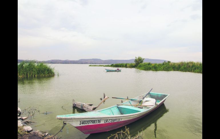 Mala Agua. En los últimos tres años se incrementó la cantidad de agua contaminada. EL INFORMADOR / P. Franco
