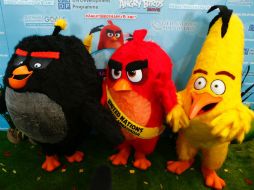 'Red' fue nombrado recientemente Embajador Honorario de la Organización de las Naciones Unidas. AFP / K. Betancur