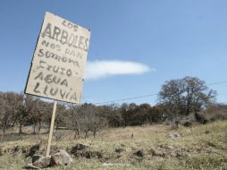 Los demandantes exigen la reparación del daño, ''que implica que el predio sea reforestado para devolverlo a su estado original''. EL INFORMADOR / ARCHIVO