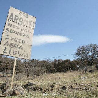 Demandan a Zapopan por permitir fraccionamiento en bosque