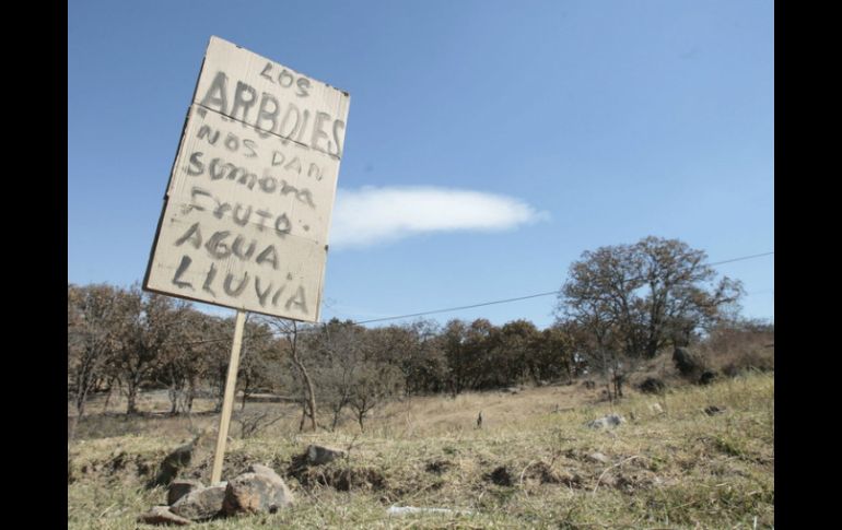 Los demandantes exigen la reparación del daño, ''que implica que el predio sea reforestado para devolverlo a su estado original''. EL INFORMADOR / ARCHIVO