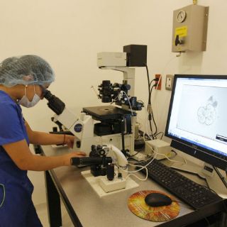 Genes del autismo están en todas las personas: estudio