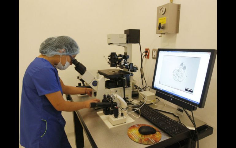 Se espera que este nuevo conocimiento explore las asociaciones entre el riesgo genético y el comportamiento en la esquizofrenia. EL INFORMADOR / ARCHIVO