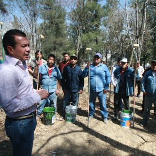 Buscan declarar Área Natural Protegida al Cerro del Tesoro