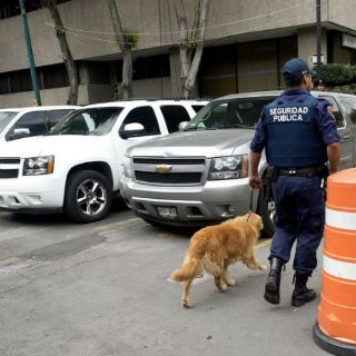 Caen 19 integrantes de grupos criminales en Tamaulipas