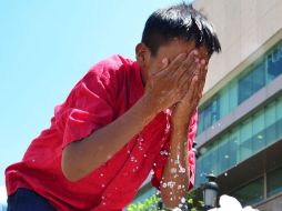 Recomiendan hidratarse de forma adecuada, y resguardarse bajo la sombra. EL INFORMADOR / ARCHIVO