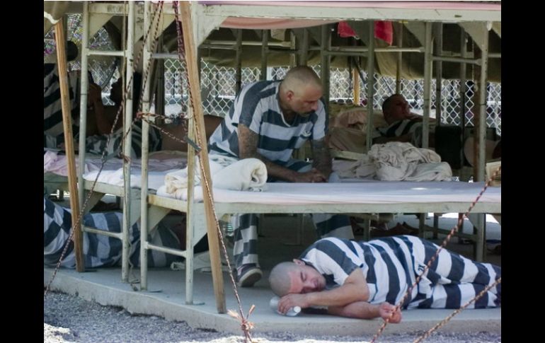 Transexuales salen de sus países de origen huyendo de la violencia de pandillas, pero son agredidos en centros de detención de EU. EFE / ARCHIVO