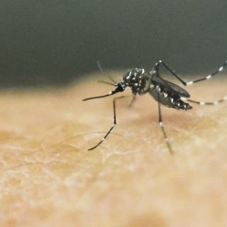 Embarazadas con zika, principal preocupación: Secretaría de Salud
