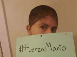 De esta forma las 'Bautisters' cayeron en la trampa. TWITTER / @Hinsomnio