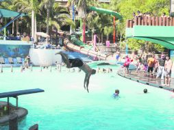 Los Camachos. Este balneario tiene entre sus atracciones el tornado, el agua-racero, el kamikaze y los acuatubos. EL INFORMADOR /