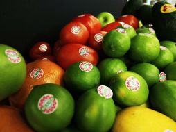 Piden preparar sólo los que se van a consumir durante el día. EL INFORMADOR / ARCHIVO