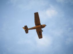 El piloto habría sido obligado a descender por algún problema. EL INFORMADOR / ARCHIVO