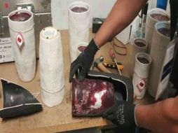 Un binomio canino entrenado detectó los narcóticos. ESPECIAL /