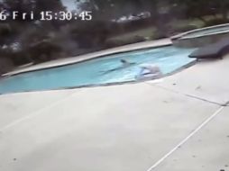 El acto quedó grabado en cámaras de seguridad de la casa. YOUTUBE /  Nikola Woods