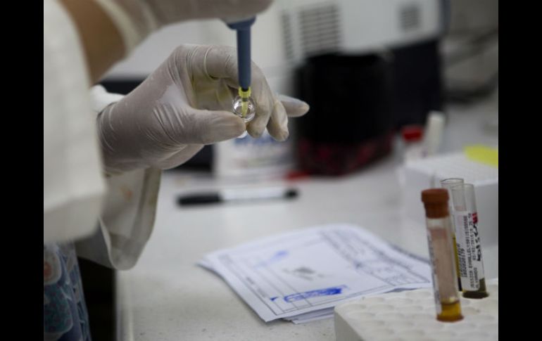 Investigadores tratan de comprender mejor cuánto tiempo puede permanecer el virus en el organismo. AP / ARCHIVO