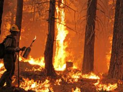En lo que va del año, se han presentado en el estado un total de 61 incendios forestales NTX / ARCHIVO