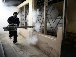 Este lunes iniciará la segunda movilización para eliminar el mosquito del virus del zika, dengue y chikungunya. AP / ARCHIVO