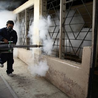 Cuba iniciará una segunda campaña contra el zika
