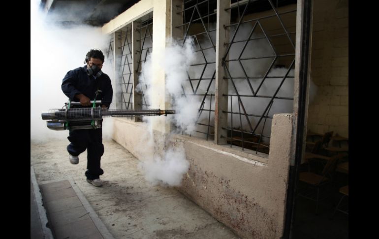 Este lunes iniciará la segunda movilización para eliminar el mosquito del virus del zika, dengue y chikungunya. AP / ARCHIVO