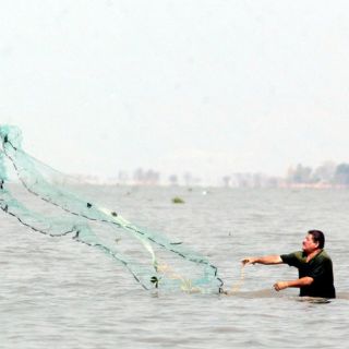 México logrará cobertura histórica para sector agropecuario