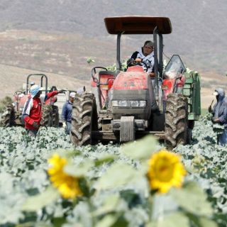 Relanzarán este año la ampliación del tratado con la UE
