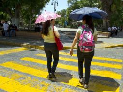 Los pronósticos ayudarían a los agricultores, servicios públicos y grandes ciudades para prepararse a periodos de altas temperaturas. NTX / ARCHIVO