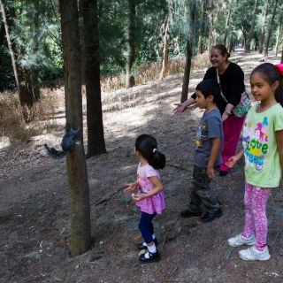 Tapatíos dejan la playa por Los Colomos