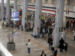 Fue gracias al apoyo de binomios caninos que localizaron la mariguana. NTX / ARCHIVO