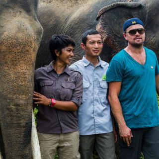 Leonardo DiCaprio viaja a la selva de Indonesia