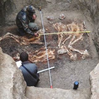 Hallan 40 tumbas en el sur de Egipto