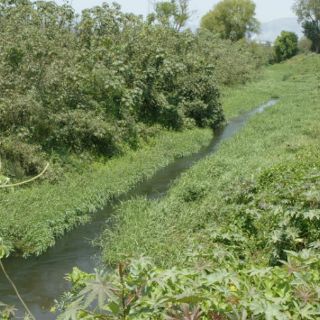 Proponen aplicar plan de ordenamiento al Río Ayuquila