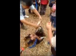 La Asociación de Scouts de México A.C. asegura que investigará el caso. YOUTUBE /