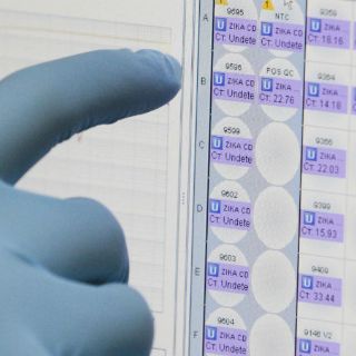 Delegación mexicana, sin riesgo de zika en Río 2016