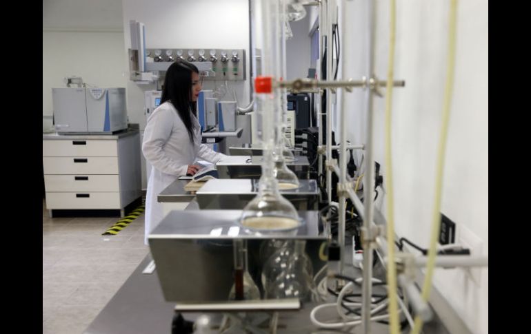 Se espera que este centro pueda abrirse el próximo mes de junio. EL INFORMADOR / ARCHIVO