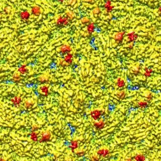 Descubren la estructura del zika, clave para futuros tratamientos