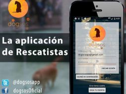 Está orientada a quienes realizan la labor de rescatar perros y buscarles un hogar. TWITTER / @DogsosApp