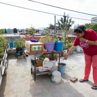Colonias se preparan ante avance del dengue