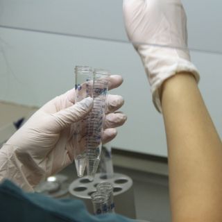 Nuevo método predice éxito de fertilización in vitro