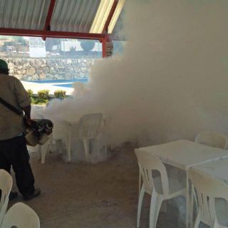 Suman 201 casos de zika; 48 son embarazadas: SSa