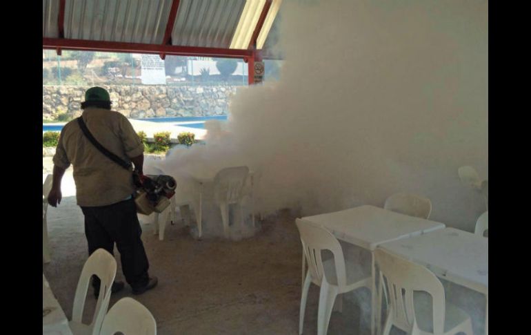 Continúan las acciones para inhibir la reproducción del mosco transmisor del virus. SUN / ARCHIVO