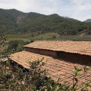 Impulsan conservación de la Sierra del Cuale
