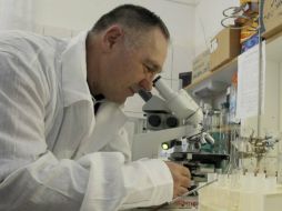 El lupus, una enfermedad autoinmune crónica, conlleva gran variedad de síntomas, como manifestaciones cutáneas, articulares y renales. EFE / ARCHIVO