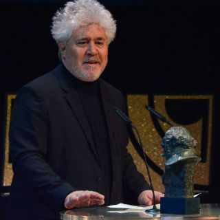 Pedro Almodóvar cancela presentación a prensa de 'Julieta'