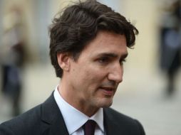 A fin de identificar acciones de evasión fiscal dentro y fuera de Canadá, Justin Trudeau destinará 440 MDD a la agencia. AFP / ARCHIVO